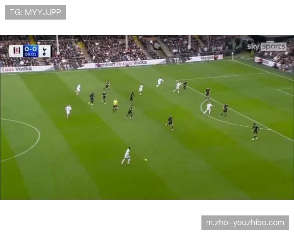 热刺质疑VAR在关键争议时刻未介入 判罚完全依赖主裁瞬间判断